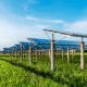 Project image-02-Energy, Solar-1200X1600 (1)